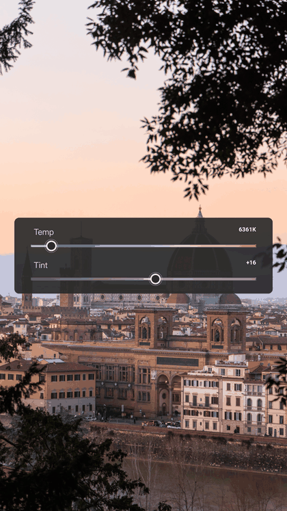 A reel of a Florence skyline edit, showing its White Balance, Exposure, and tone settings one panel at a time